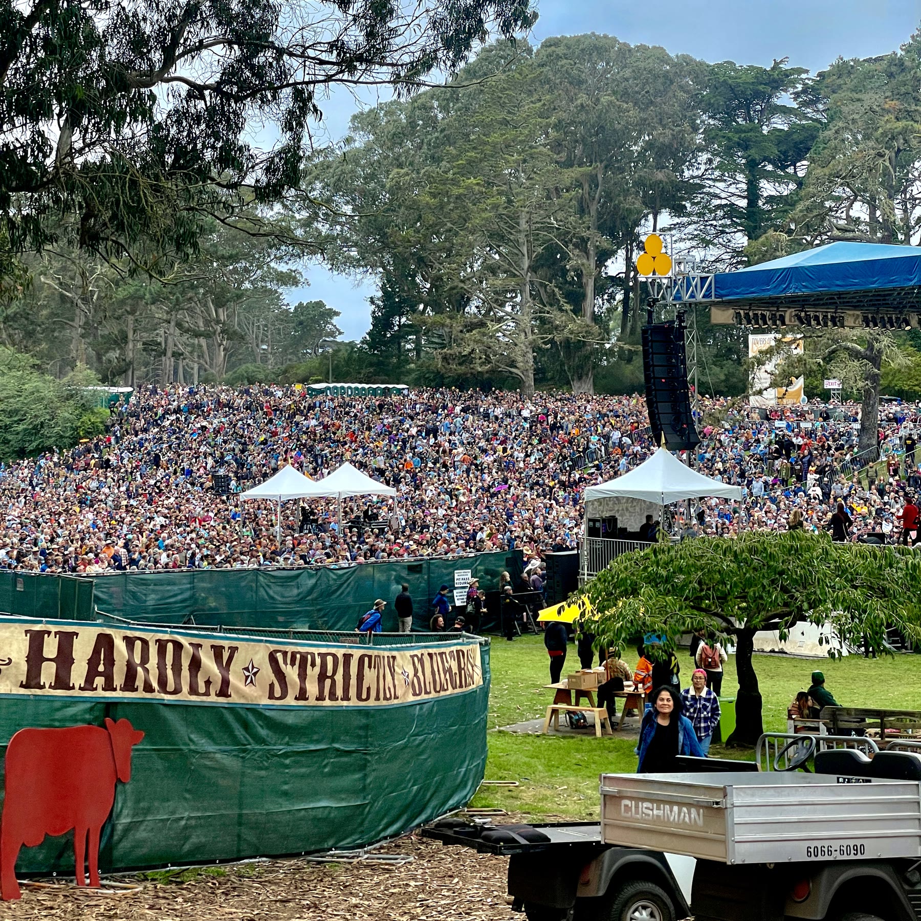 Hardly Strictly Bluegrass Music Festival behind the scenes 13
